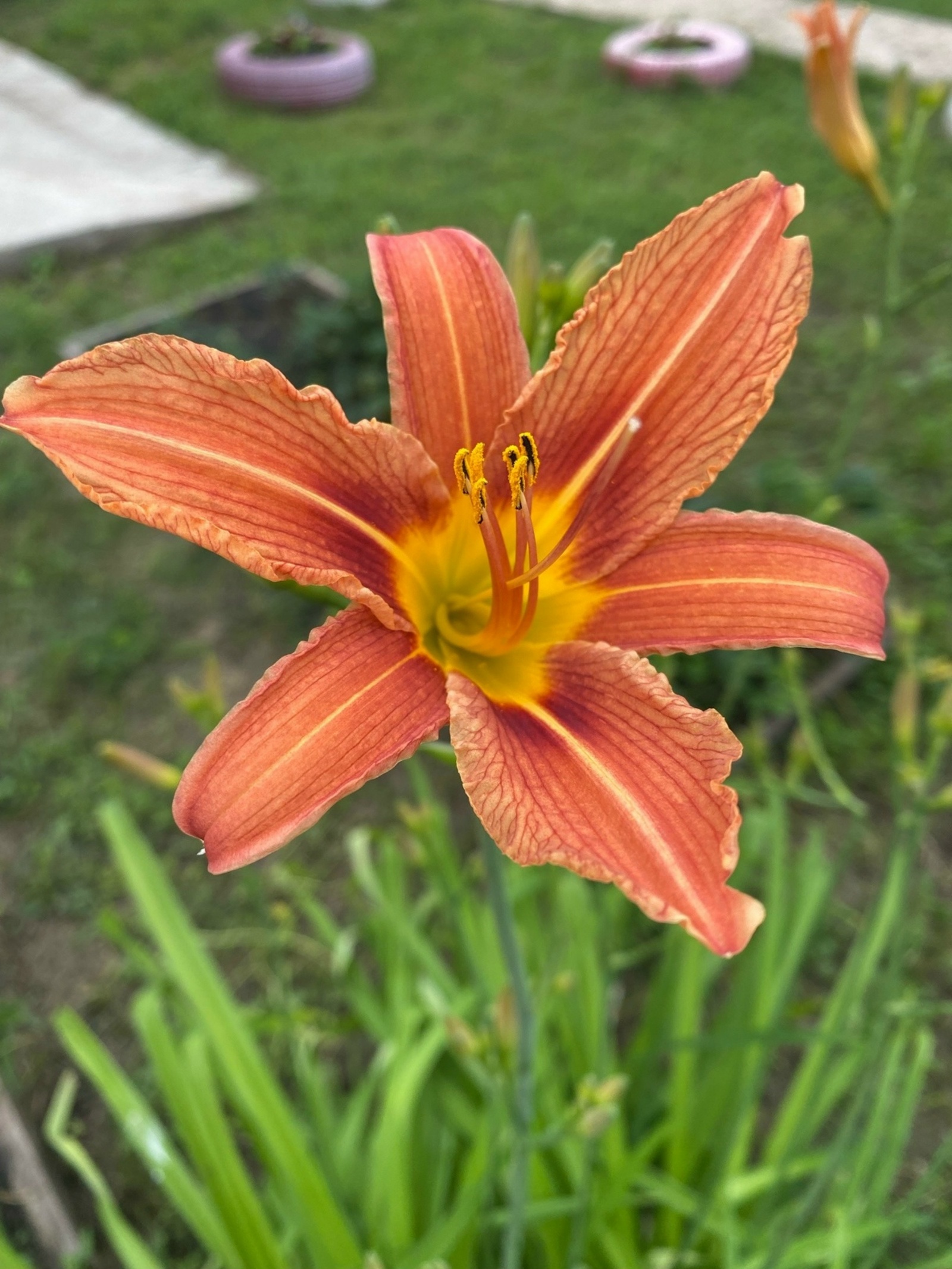 Саф мөхәббәт мәңгелек