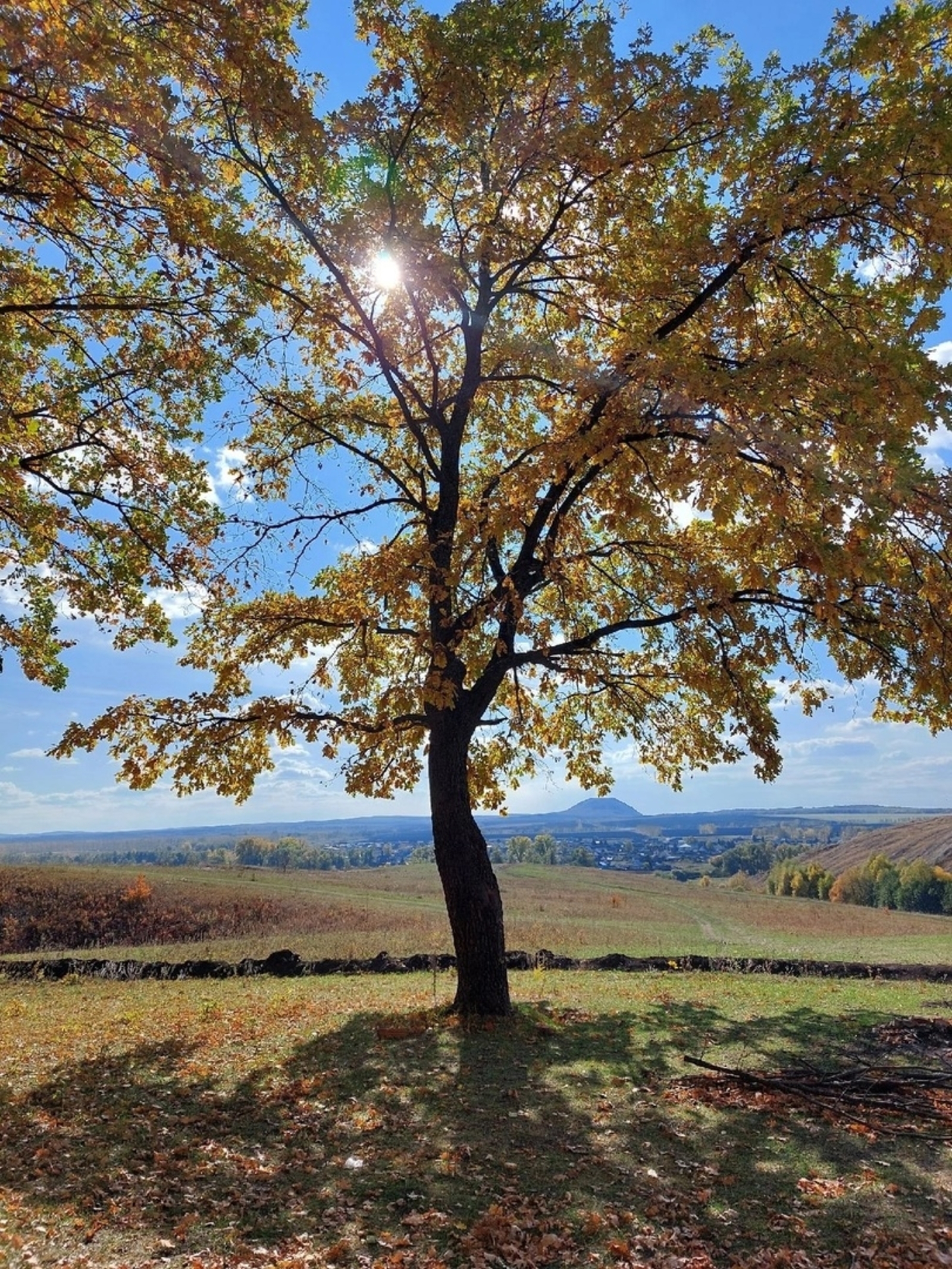 Утлы өйөрмә