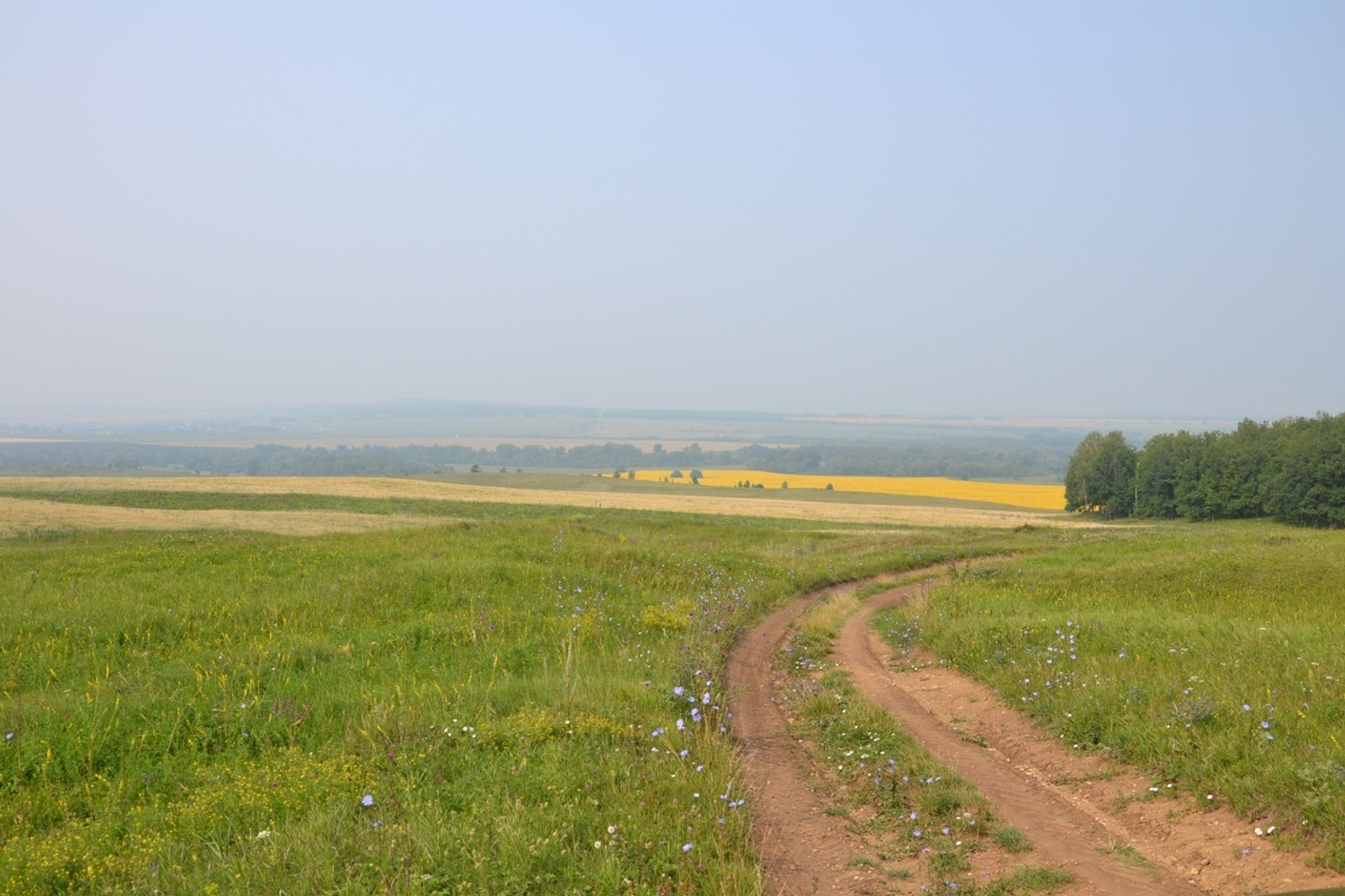 Мираҫҡа ҡалған низағ