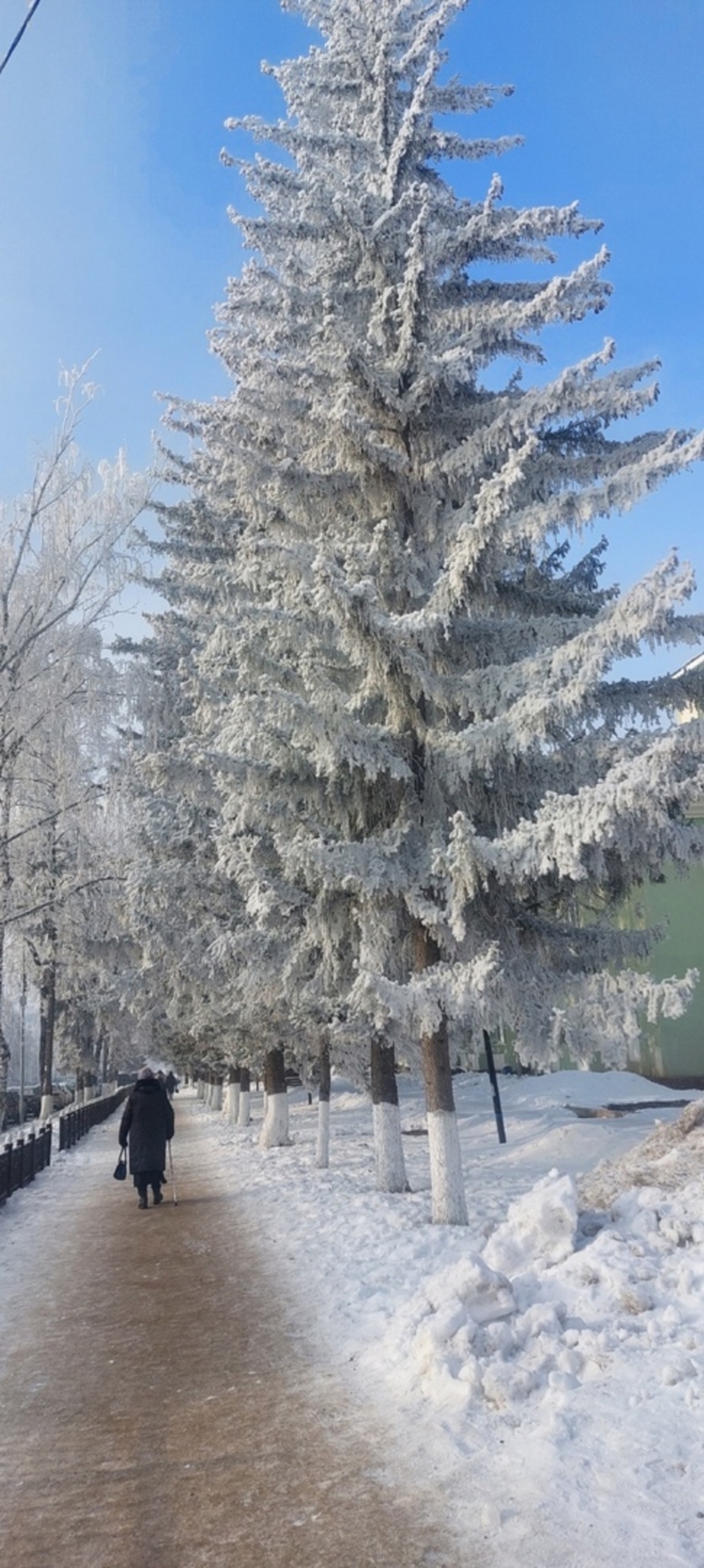 Ҡолонло бейә