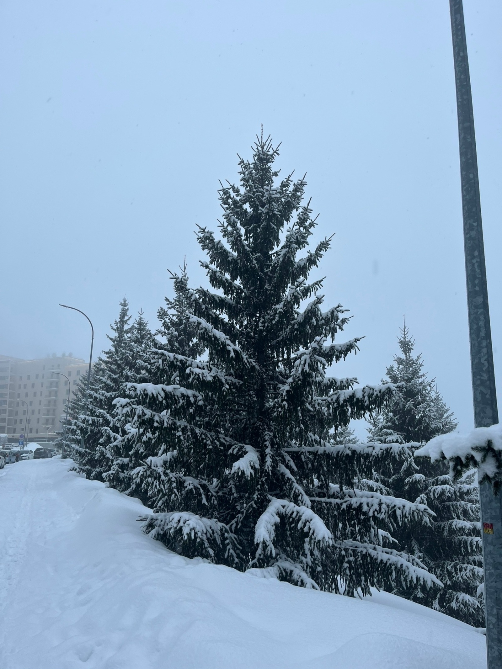 Ышаныслы ир