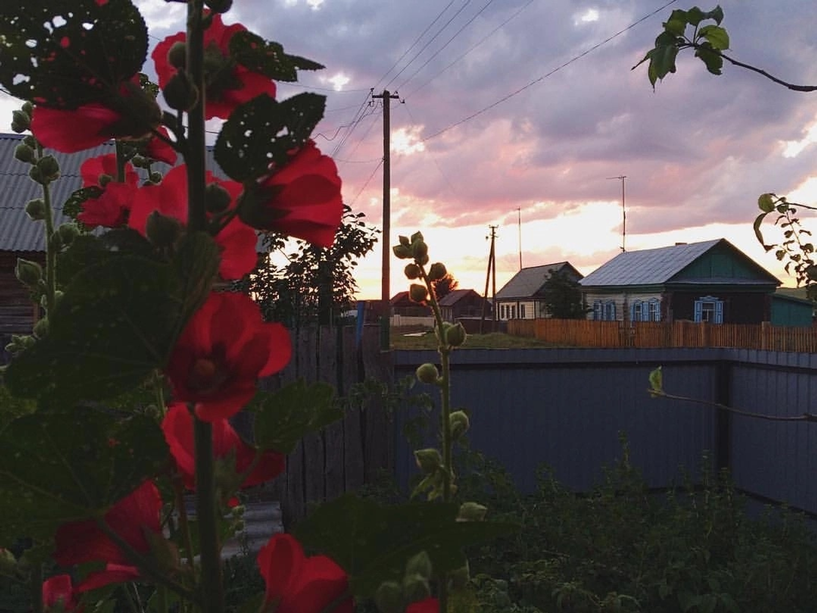 Донъя - ҡуласа