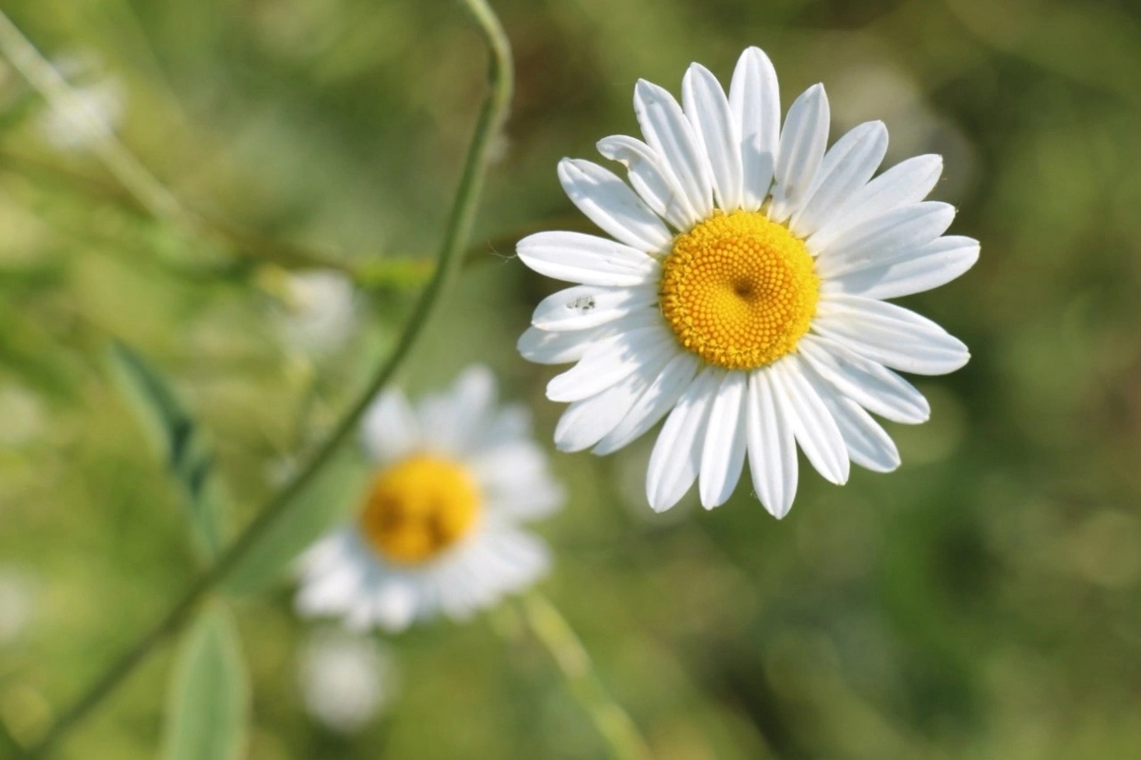 Бөтәһе лә үҙеңдән