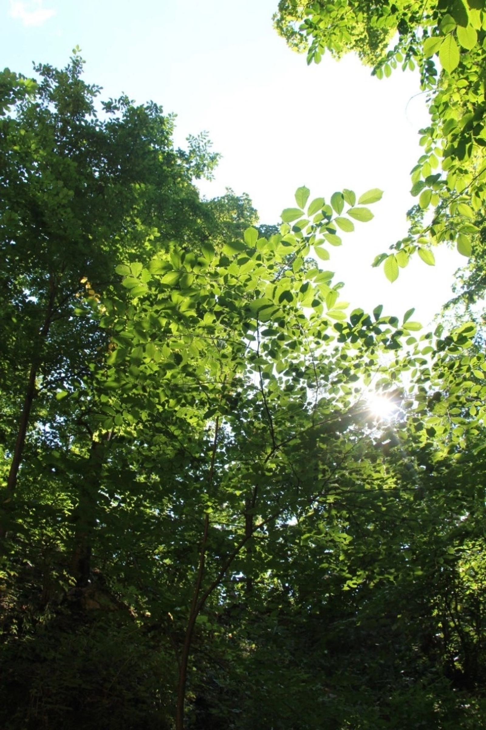 Һүнмәй ҙә, һүрелмәй ҙә