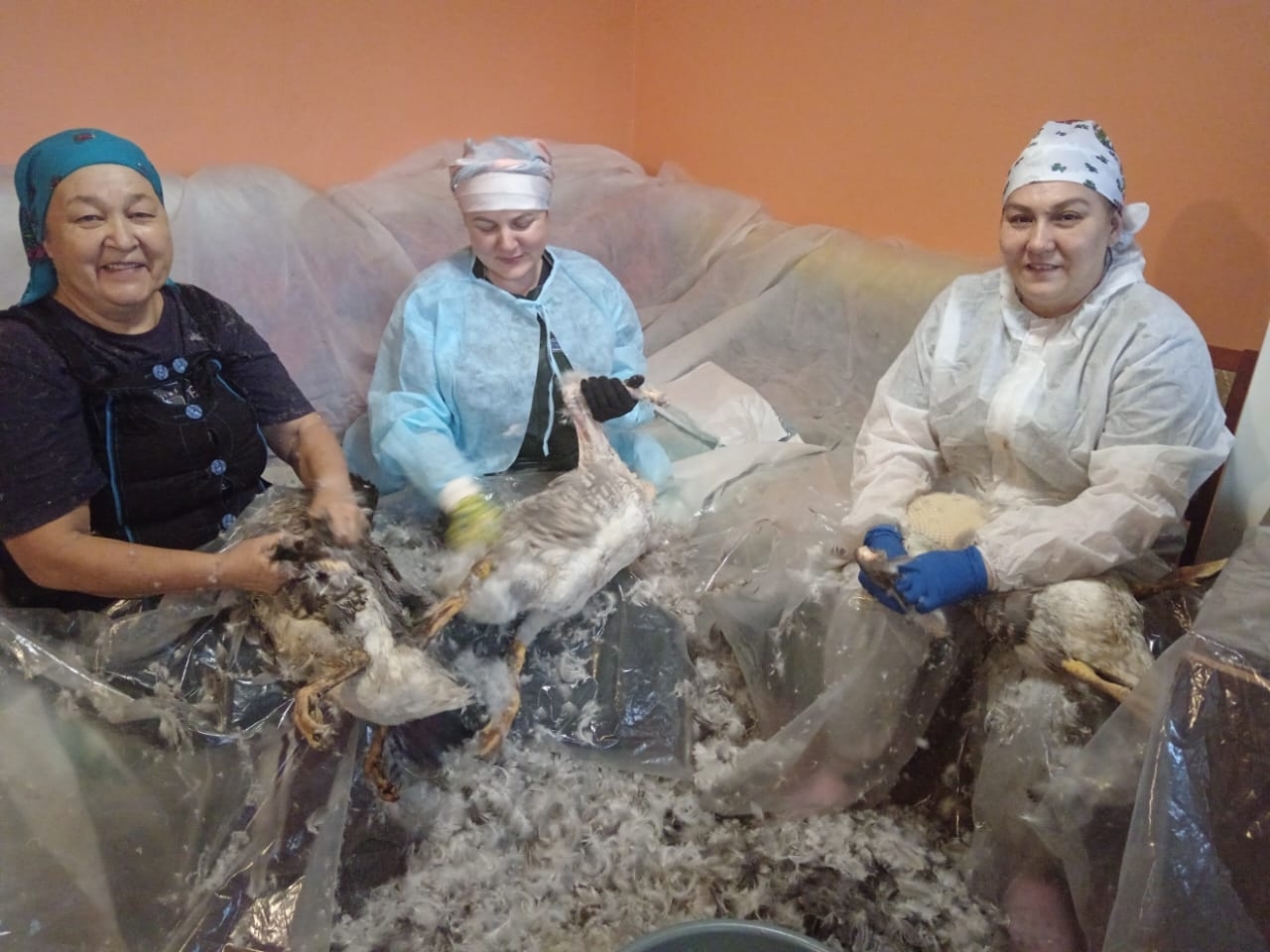 Алаҡайҙа - ҡаҙ өмәһе