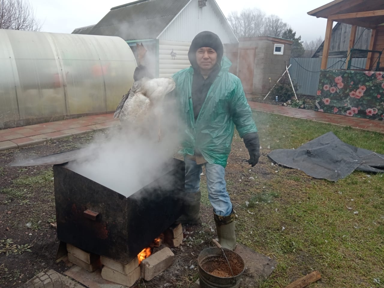 Алаҡайҙа - ҡаҙ өмәһе