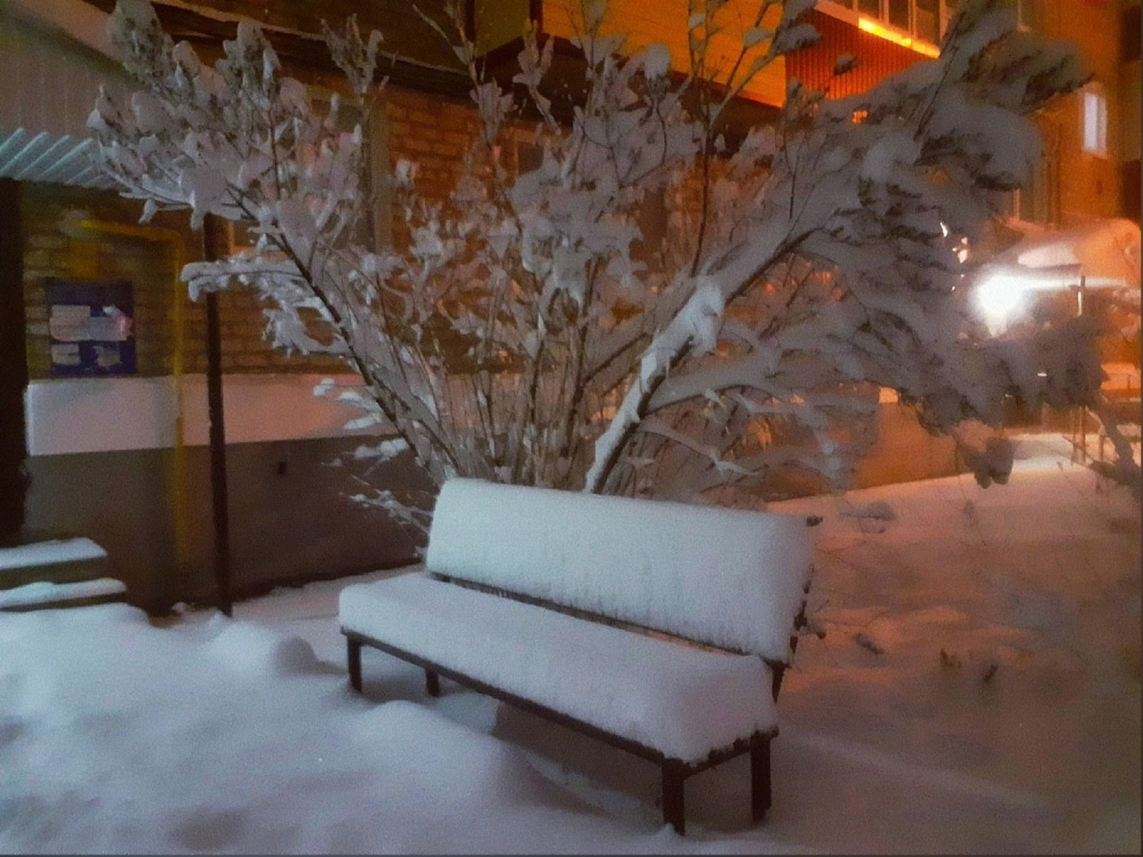 Аҡ бурандар аҙаштыра, тимә...