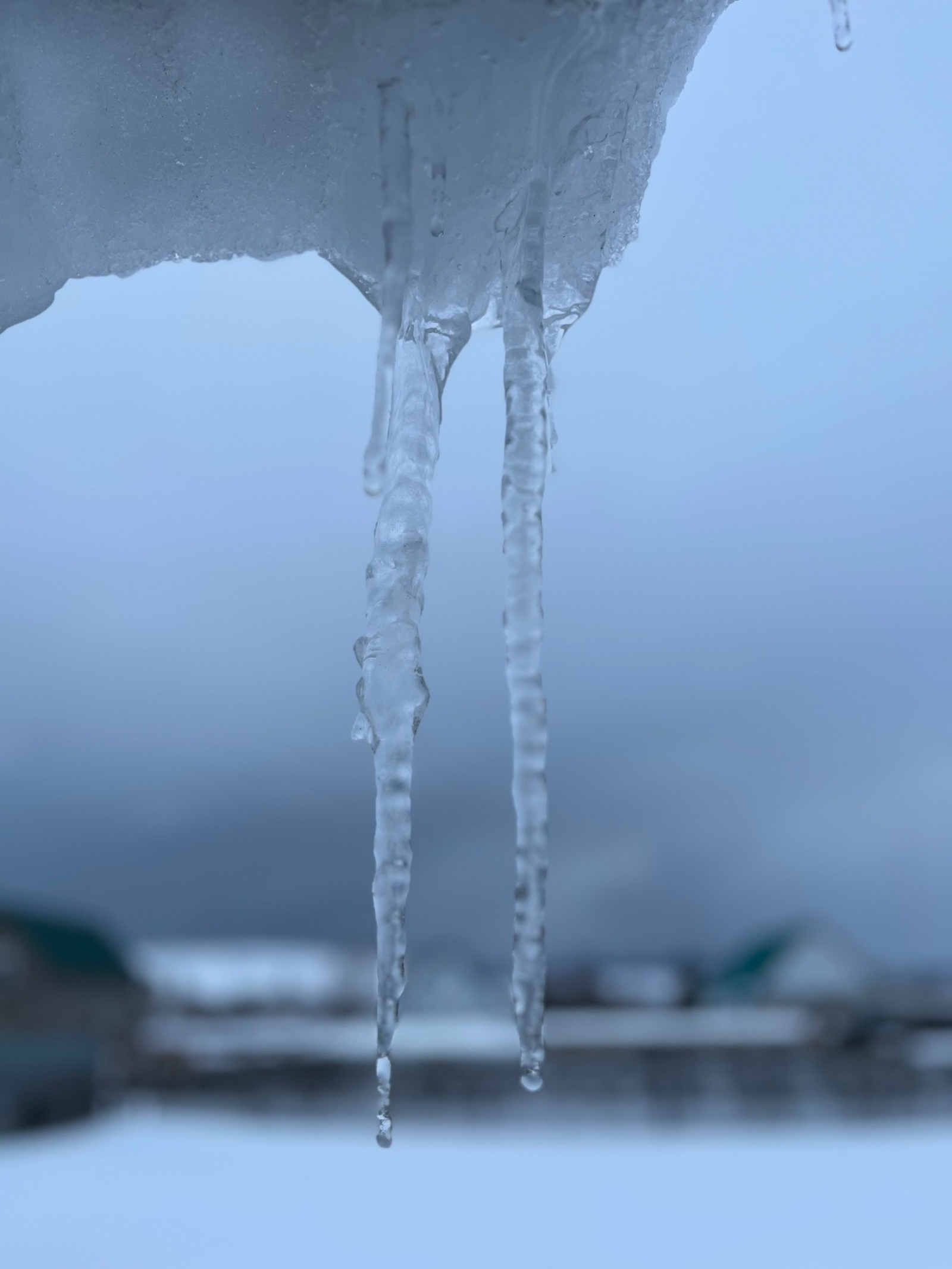 Ғүмеркәйҙәр төш кеүек