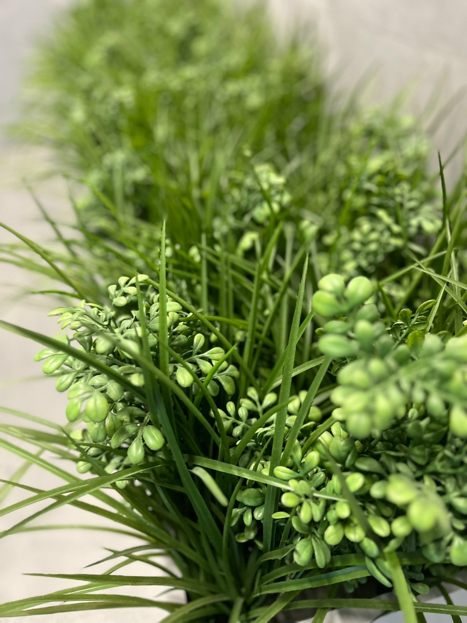 Зинһар, мине йәлләмәгеҙ!