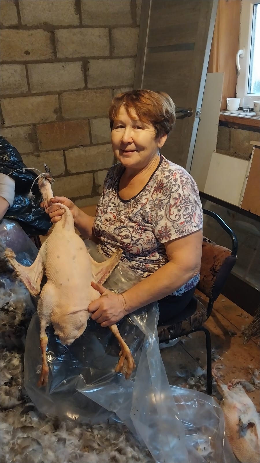 Алаҡайҙа - ҡаҙ өмәһе