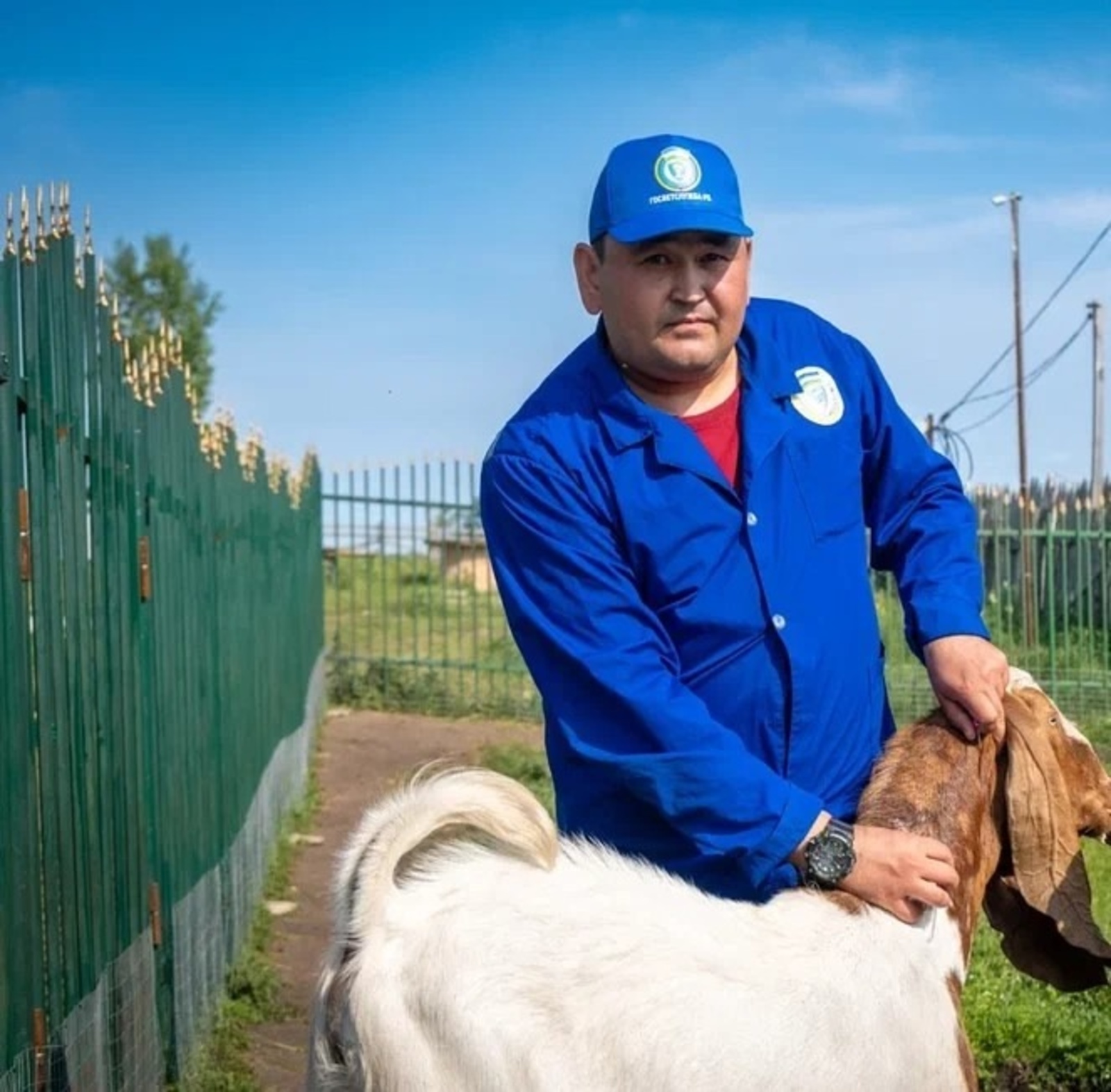 Малдарҙың һау булыуы – халыҡ хәүефһеҙлеге