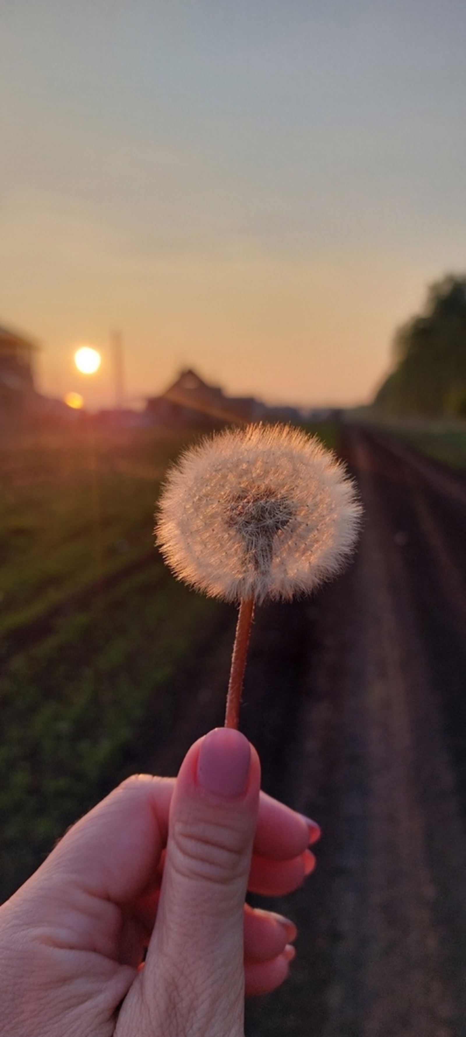 Әллә күҙ тейҙе, әллә ҡайғы еле?