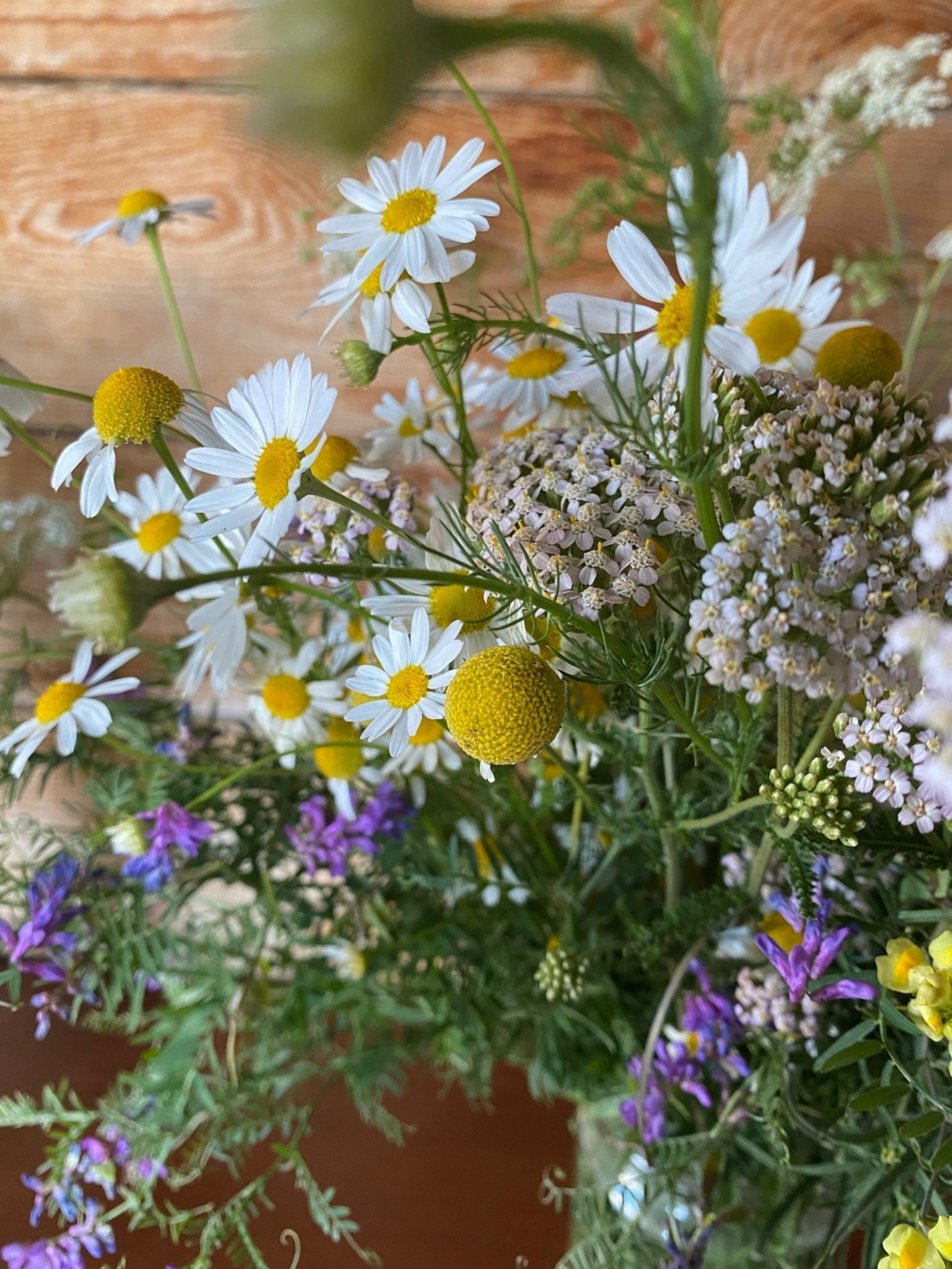 Аҡтан-аҡ, пактан-пак...