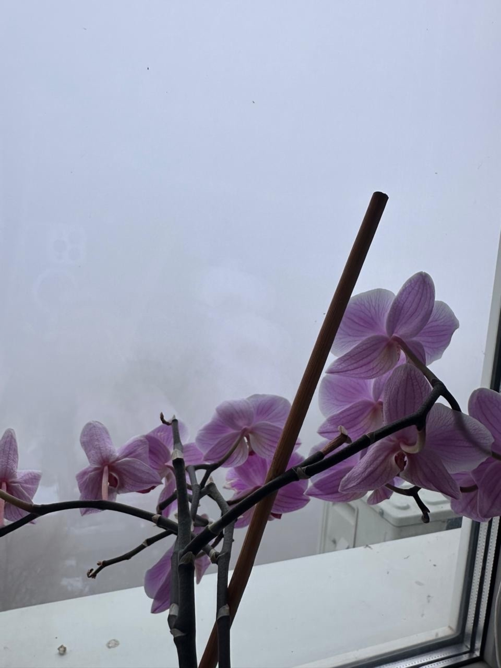 ҠӘЙНӘ ТИҘӘР