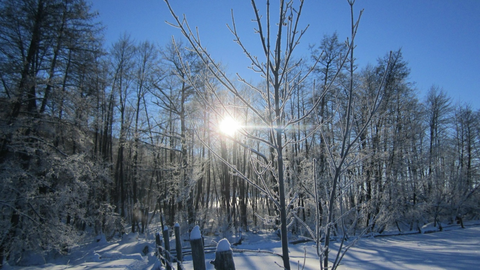 Февраль айына һынамыштар