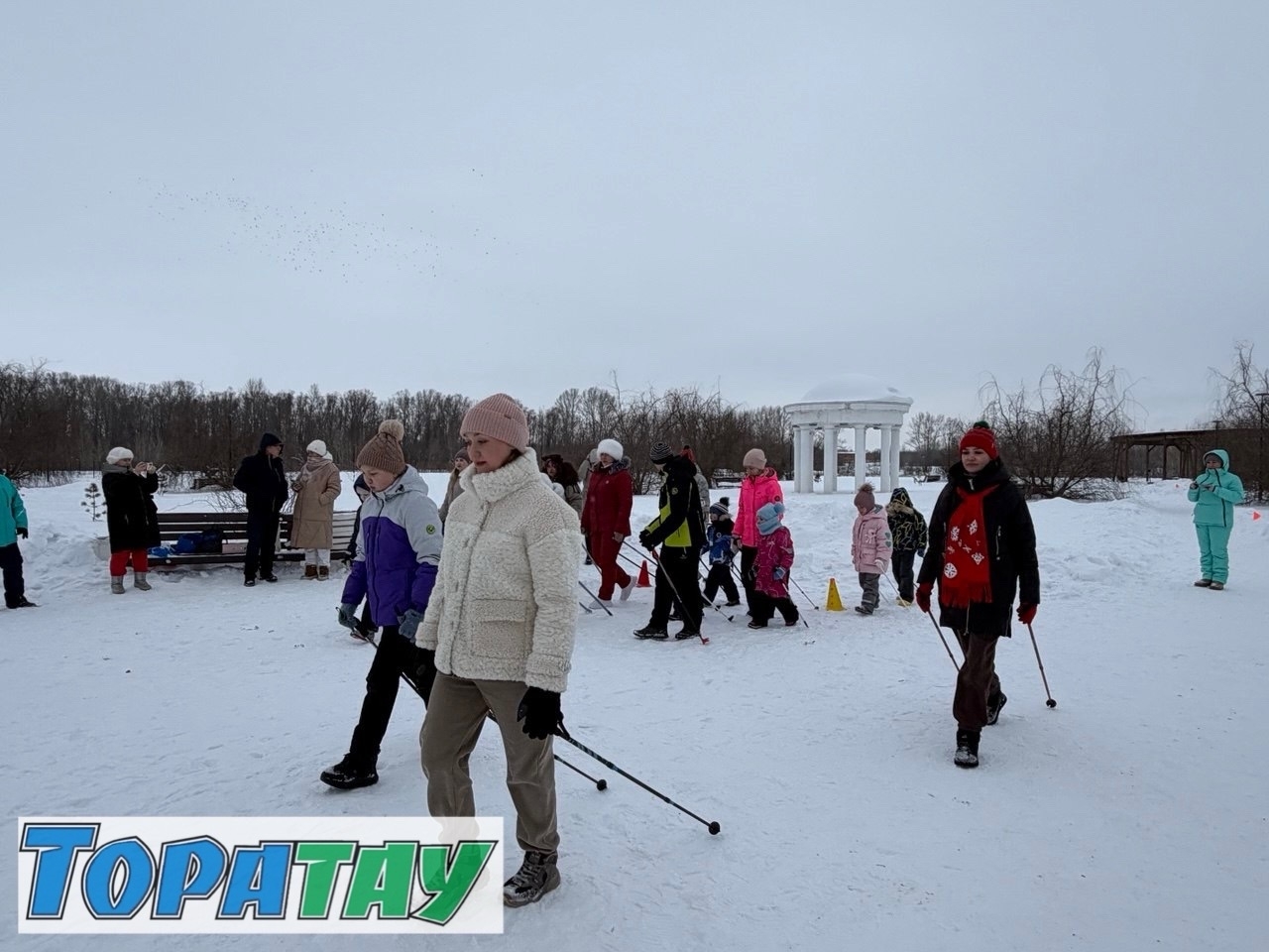 Атай, әсәй, мин - скандихотиктар ғаиләһе