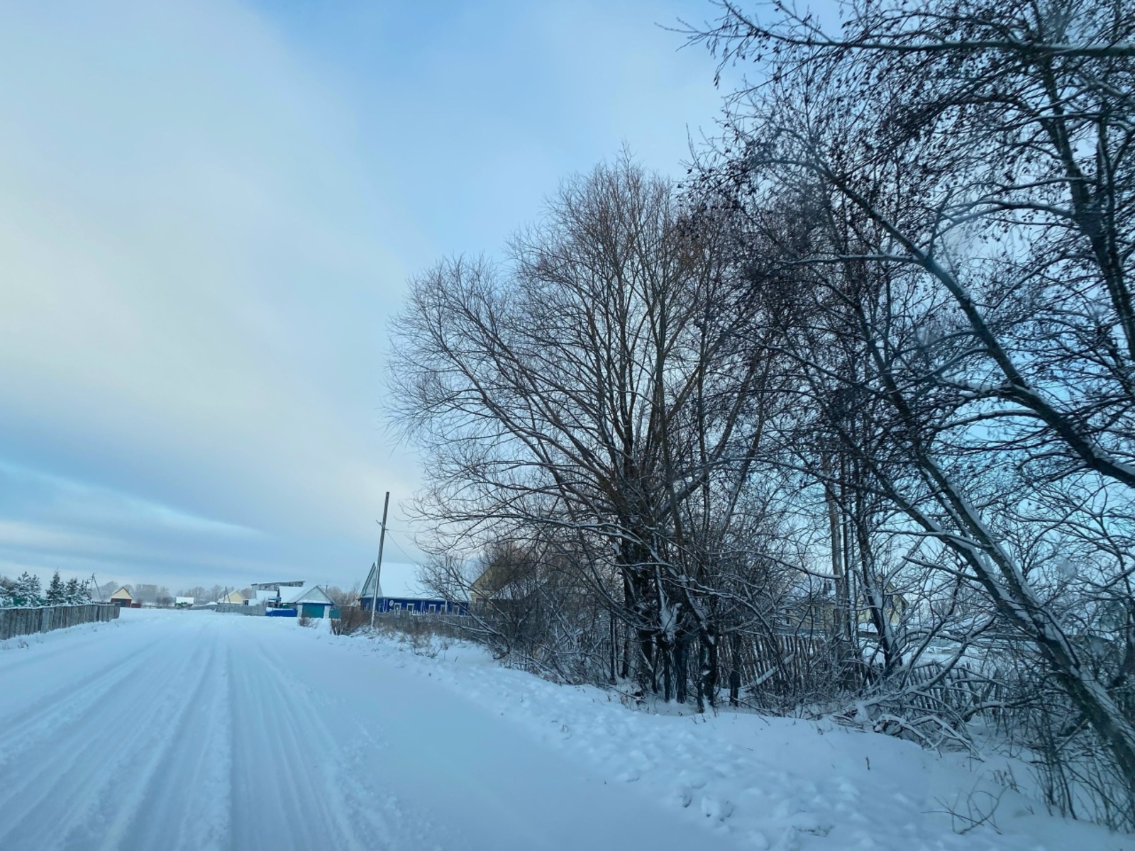 Буранлы кис