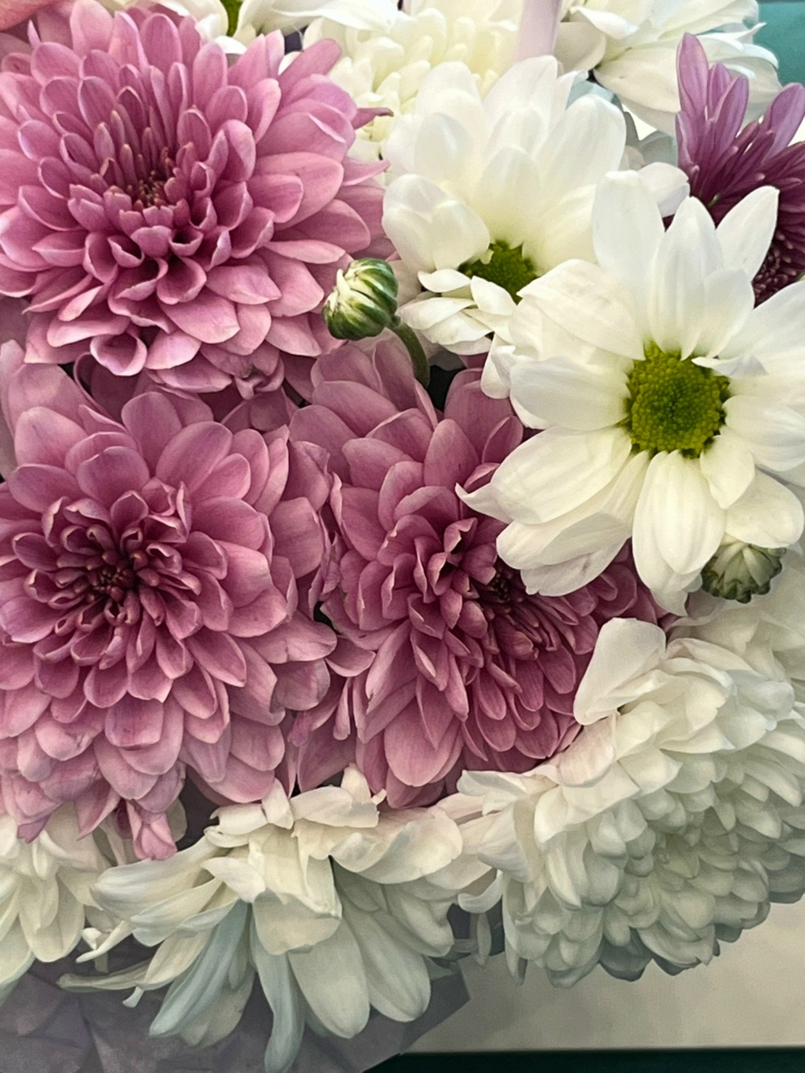 Ҡатынын дүрт бала менән ташлап киткәйне...