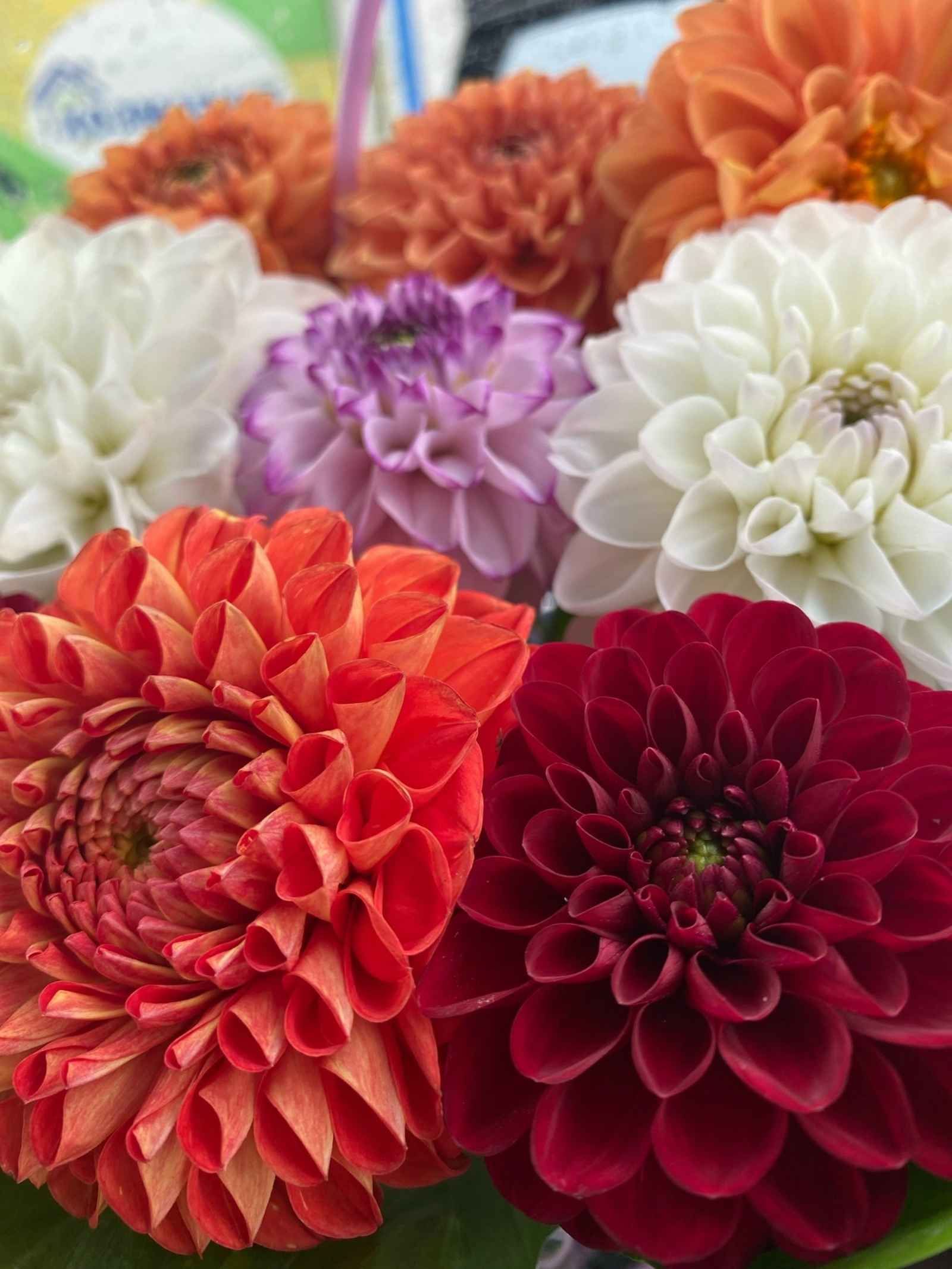 Тәүге гөлләмә