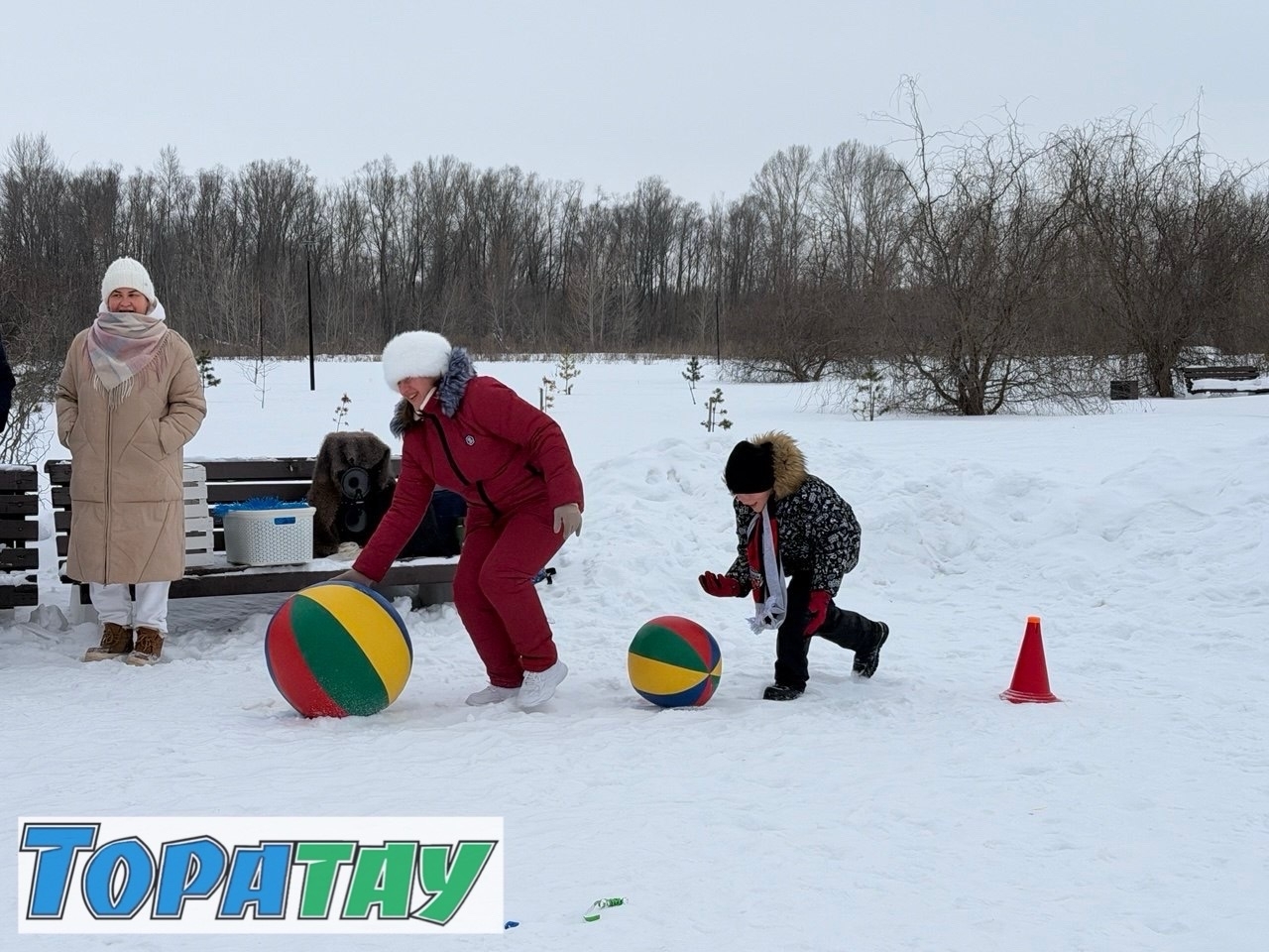 Атай, әсәй, мин - скандихотиктар ғаиләһе