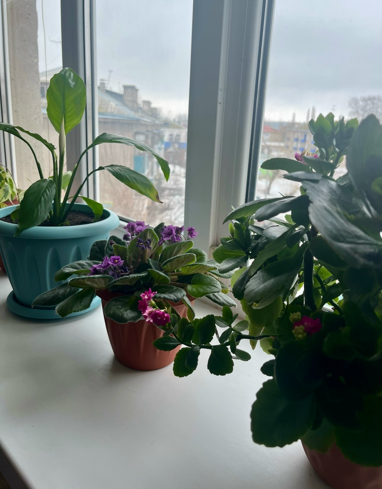 Йортом йәме - гөлдәрем